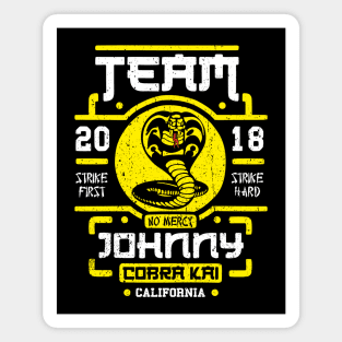 Team Johnny Magnet